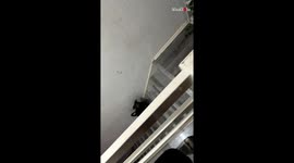 Birthday surprise goes wrong as the family accidentally interrupts dad’s midnight prayer