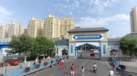 Xinjiang's development testifies to China's success story: Turkish journalist