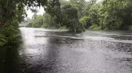Tropical Storm Impacts Coastal Hillsborough