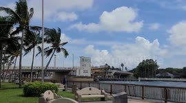 Windy, Rainy Parks and Docks Footage
