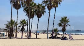 Warm Day at Venice Beach
