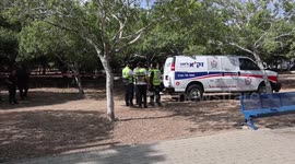 Palestinian kills 2 in stabbing spree in central Israel