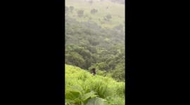 Woman Falls Into 100-Foot Deep Gorge While Taking Selfie in Satara; Rescued