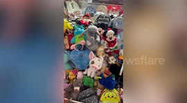 Disney superfan spends £10k collecting merch - including 700 cuddly toys