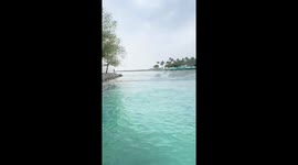 Child catches stingray in Haulover Park, Miami