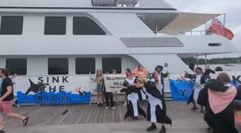 USA: The famed yacht sinking orcas have descended on the Hamptons' mega-yacht marina