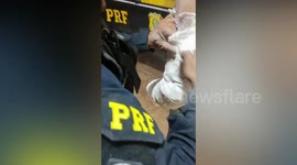 Brazil: Cops Find 2kg Of Cocaine Hidden Inside Man's Fake Plaster Cast On His Arm