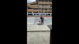 Dog helps disabled man by pulling cart in Marasbaras, Philippines