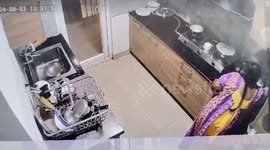 Wild monkey attacks woman in her kitchen in India