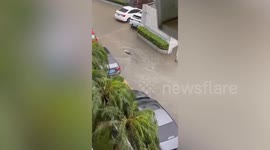 Giant fish spotted swimming down flooded residential street in China