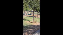 Ballsy Business Transaction In Public Park