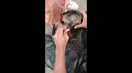Satisfying moment soldiers use pliers to remove leech from inside turtle's shell