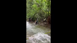 Tourists carry stranded dog across raging waterfall during storm