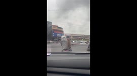 Crazed wild monkey climbs on woman's head to snatch her bag