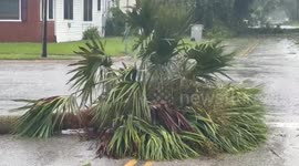 Flash Flood Impact in Lafayette, FL