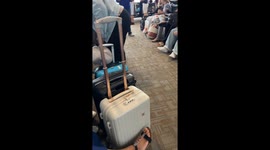 Young hero captures runaway rodent at Reagan National Airport during mouse madness