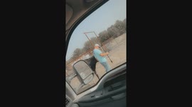 Cow Gets a Little Too Friendly