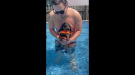 Dachshund Pup Paddles In Place