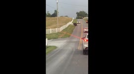 Headbutting Bulls Block Traffic