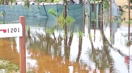 Tropical Storm Impacts Coastal Hillsborough