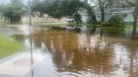 Hurricane Debby's Impact on Tampa