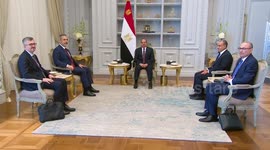 Egyptian president, Turkish FM discuss regional escalation