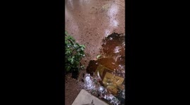 Flooding in Tampa, Florida, USA from hurricane Debby