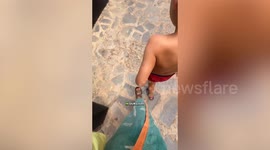Family moved to Tenerife to escape the rain and save €13k-a-year on rent