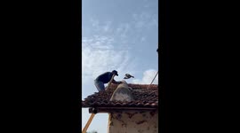 Rat snake removed from house roof in Hubballi, Karnataka, India