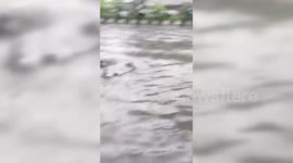 India: Heavy Rain Floods Assam Capital