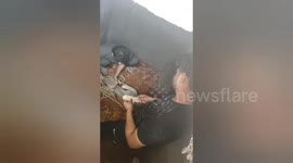 Social organisation rescue a cows that fell into safety tank pit in Central India