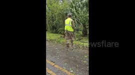 USA: Charlie Battery 1-265th ADA Conducts Recon and Debris Clearance Post-Debby
