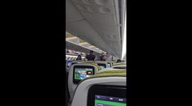 Chaos erupts on flight to Singapore when passengers confront 'hand luggage thief'