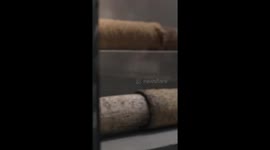 Clothes made of tree bark well preserved in China's Hainan