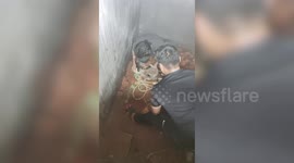Heartwarming! Cow rescued from safety tank in central India