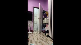 Pet cat baffled by hide-and-seek game with owner