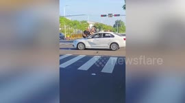 Speeding cyclist wedged on windshield after collision