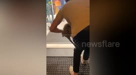 Russia: Man Illegally Keeps Cub in Apartment in Moscow