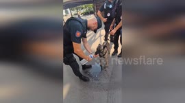 France: Spanish Police K9 Hydration Video Warms Hearts During Paris2024 Patrol