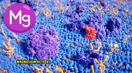 Don't Ignore These Signs of Magnesium Deficiency - Everything You Need To Know About Mg Deficiency