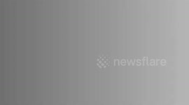 Understanding the Causes of Blood in Urine (Hematuria) for Better Health |What Causes Hematuria?