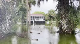 Tropical Storm Debby Impacts Sullivan's Island