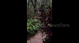 US: Storm Debby Makes Landfall As Category 1 Hurricane In Florida, Leaving At Least 4 Dead