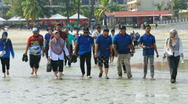 Malaysia: A loggerhead turtle is released at the Port Dickson Marine Biodiversity Conservation Program