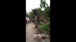 Locals terrified as huge crocodile roams streets of northern Indian village