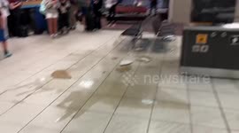 Passengers cower as heavy rain leaks through roof at Calgary International airport