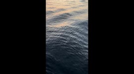 Beautiful waves at the sea. Yo can’t stop looking at it.