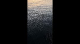 Meditative waves on the sea.