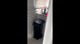 Mom catches the little boy playing with sponges in the kitchen