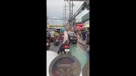 Pet dog in a dress rides pillion on the back of motorcycle
